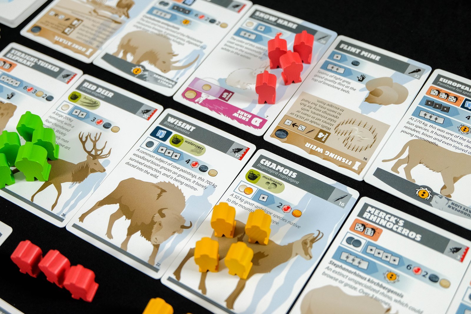 ION Neanderthal 2nd Edition gioco da tavolo preistoria coop
