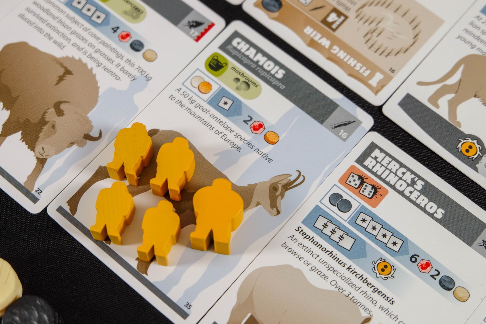ION Neanderthal 2nd Edition gioco da tavolo preistoria coop