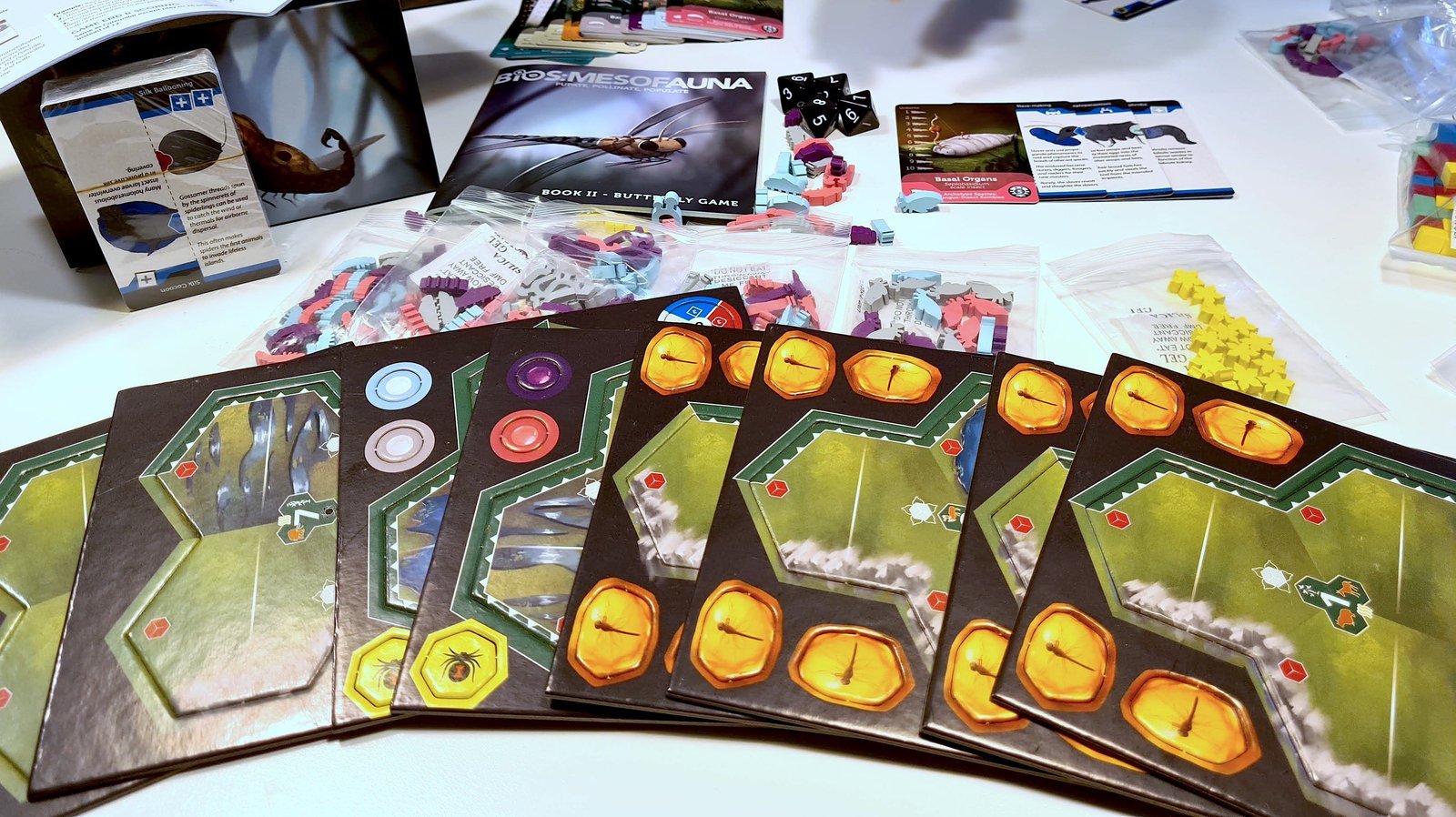 ION Games Bios Mesofauna gioco da tavolo retail senza dadi