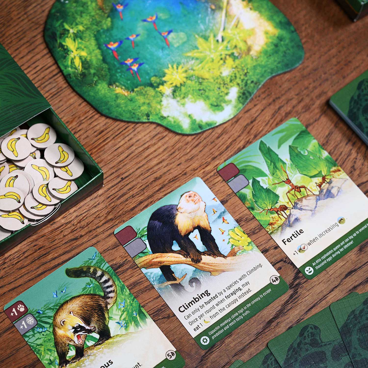North Star Games Nature Amazon Rainforest Modulo 5 espansione
