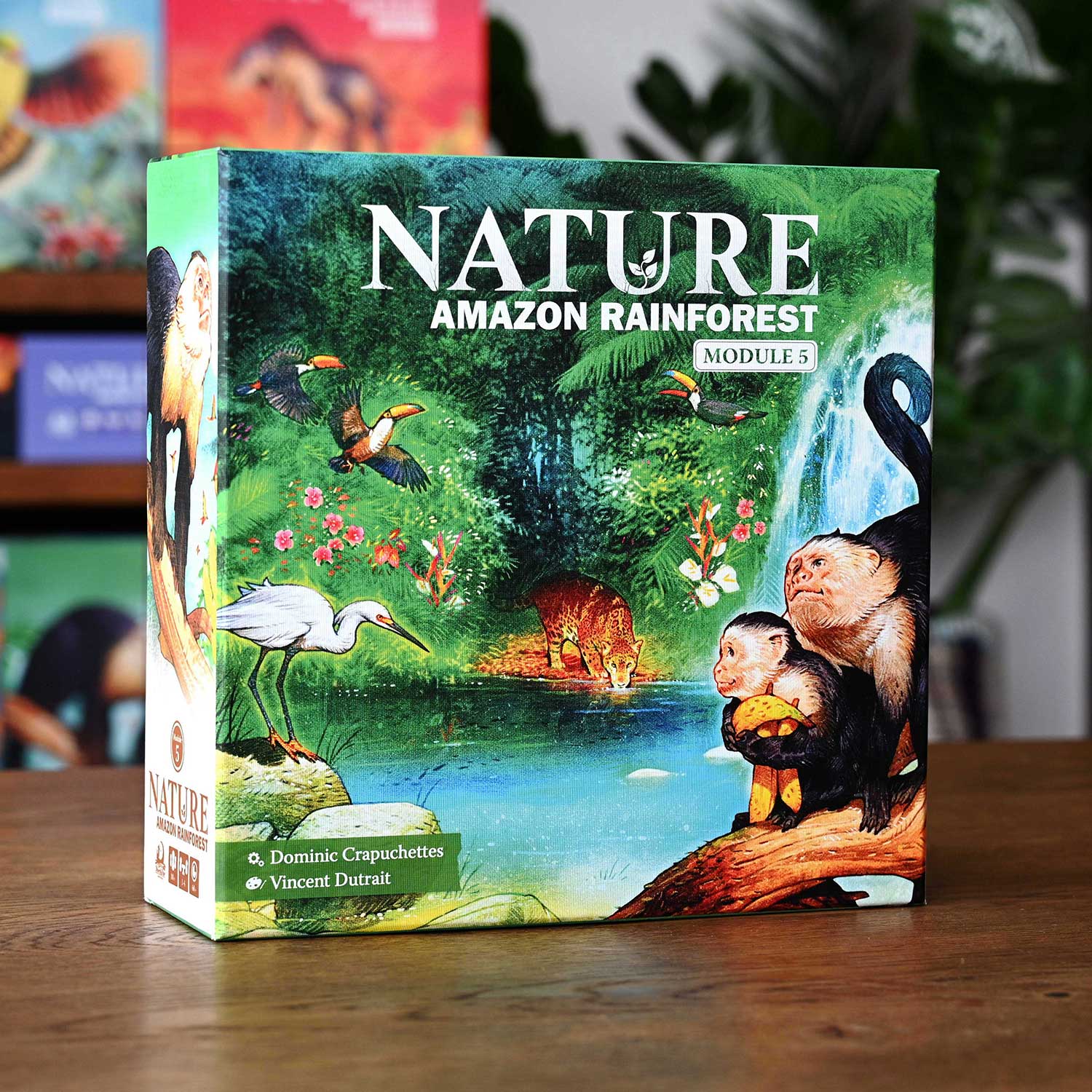 North Star Games Nature Amazon Rainforest Modulo 5 espansione