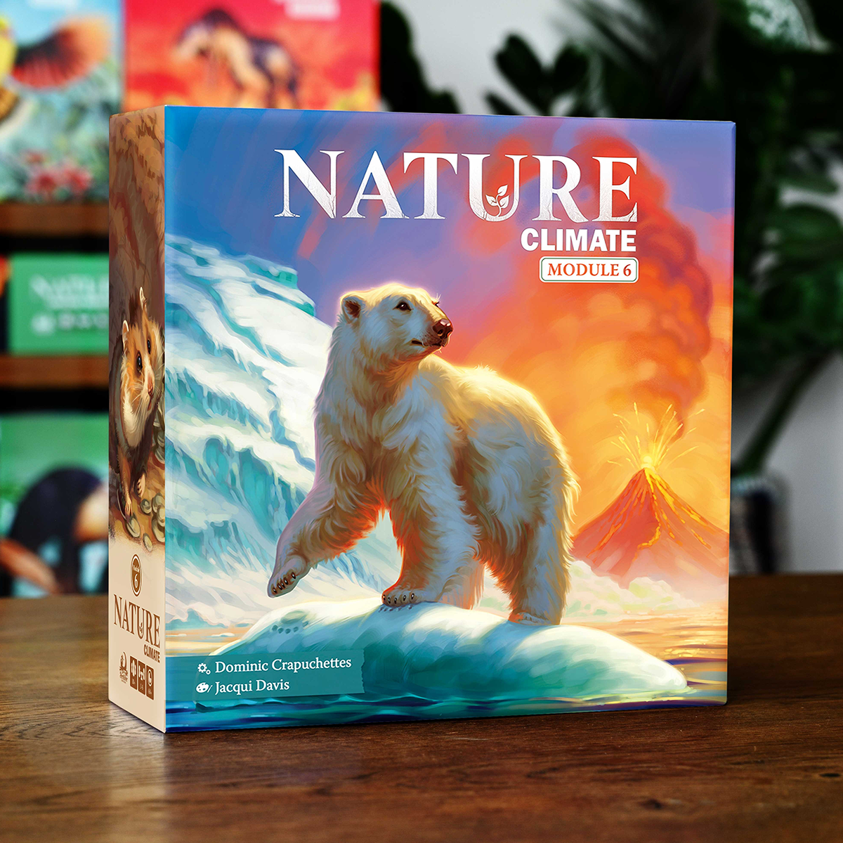North Star Games Nature Climate Modulo 6 espansione meteo