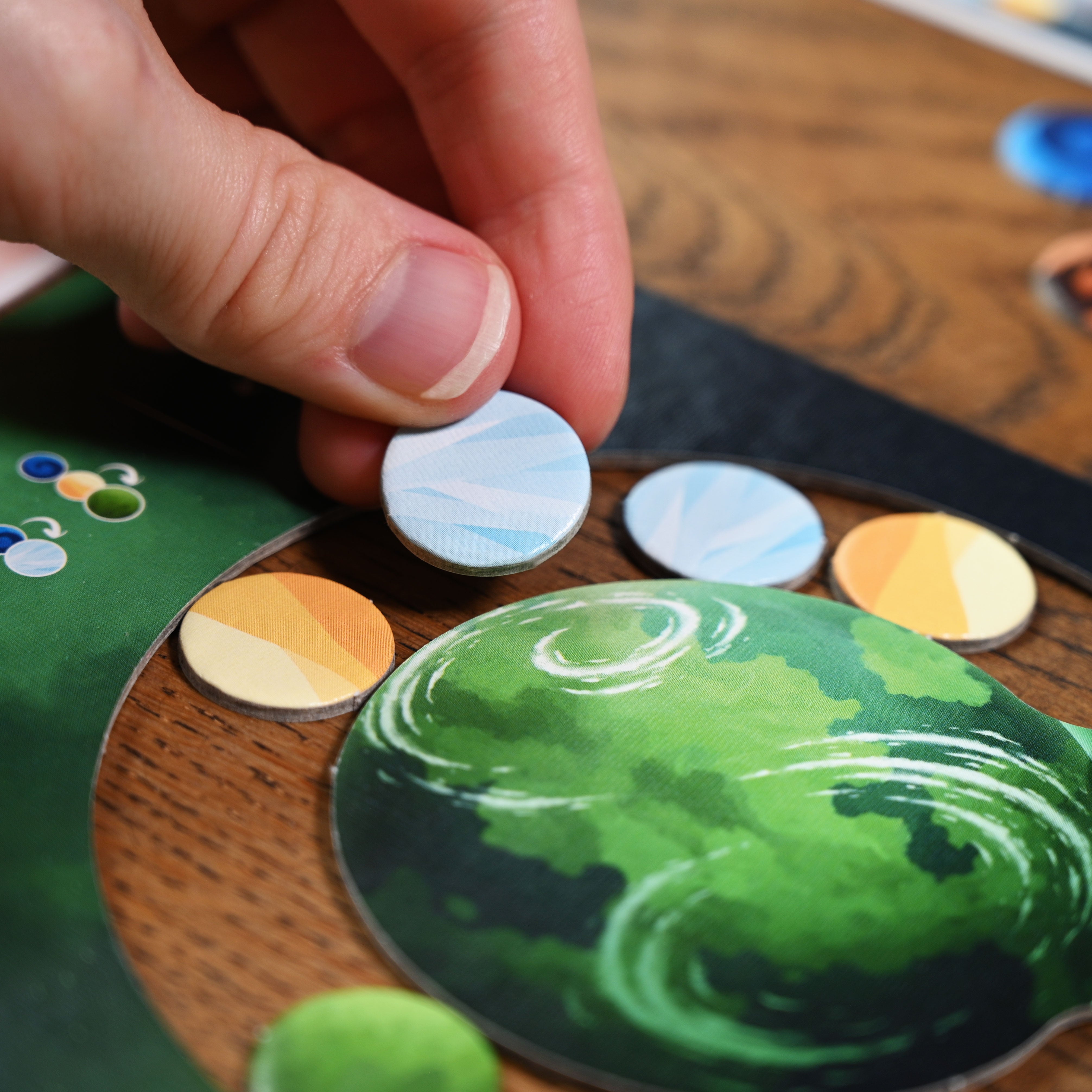 North Star Games Biomos gioco da tavolo puzzle biodiversità