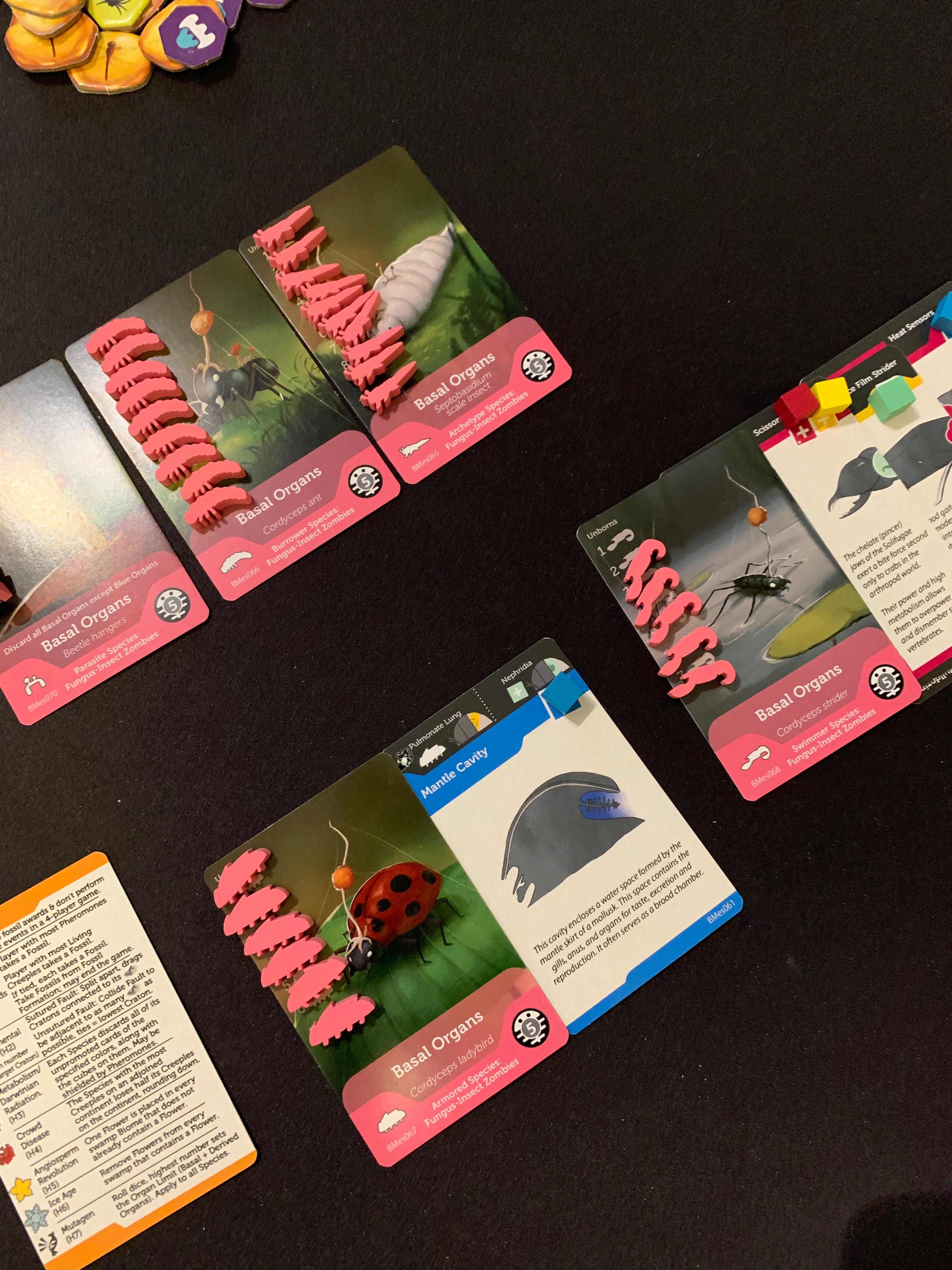 ION Games Bios Mesofauna gioco da tavolo retail senza dadi