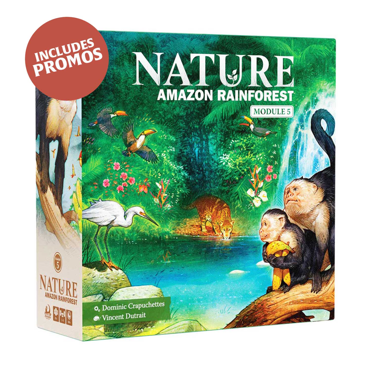 North Star Games Nature Amazon Rainforest Modulo 5 espansione