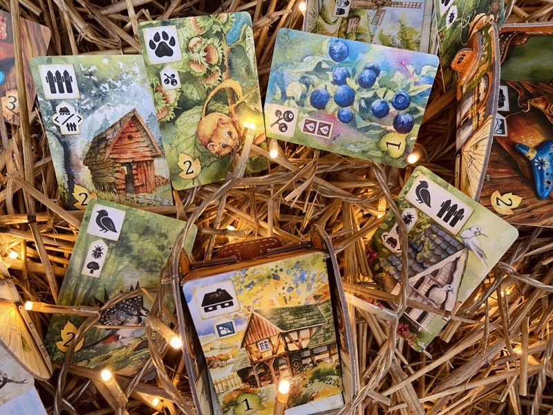 Meadow Radura gioco da tavolo famiglia naturalistico
