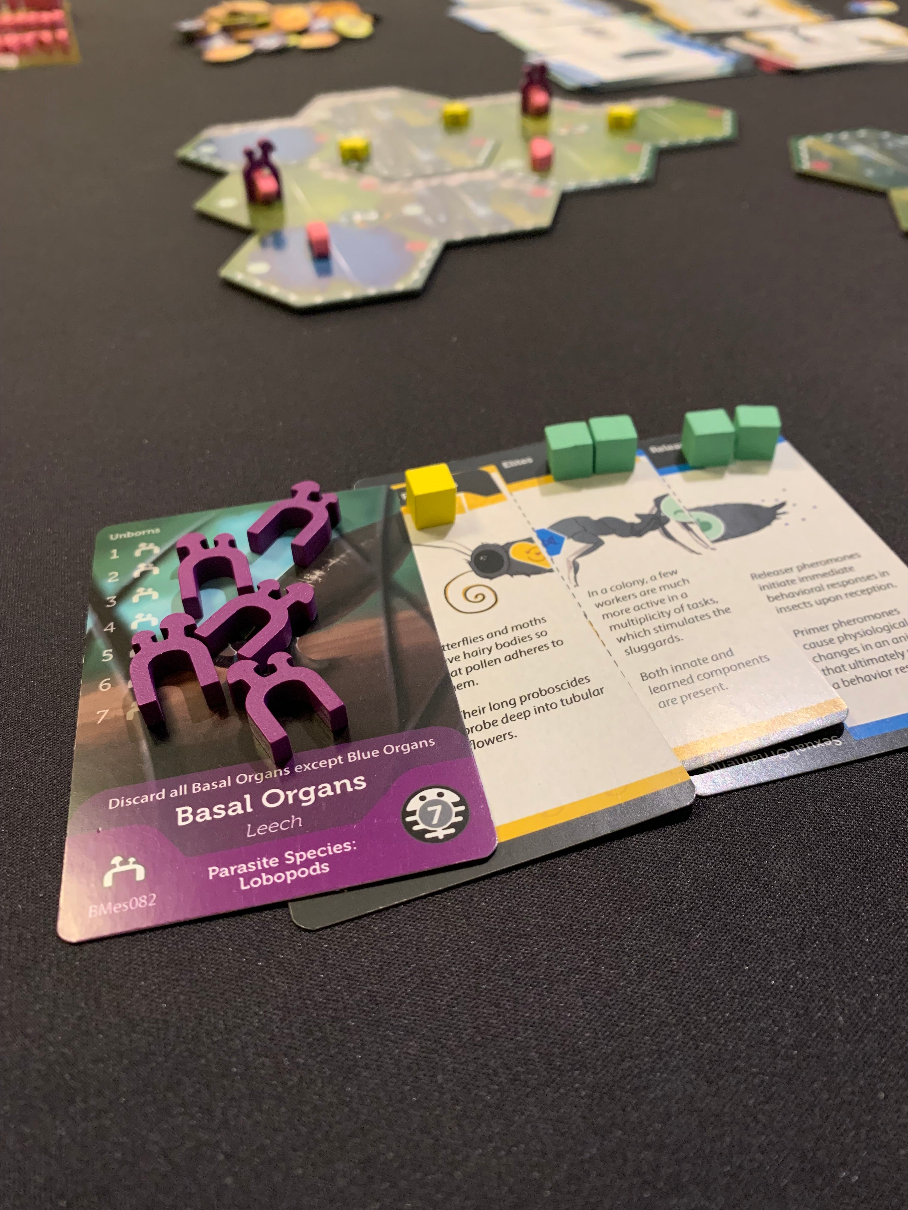 ION Games Bios Mesofauna gioco da tavolo