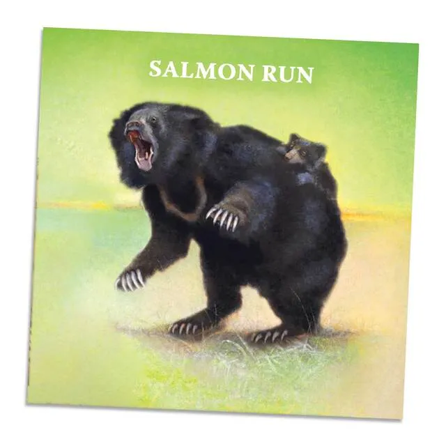North Star Games Nature Salmon Run mini-espansione gioco da tavolo