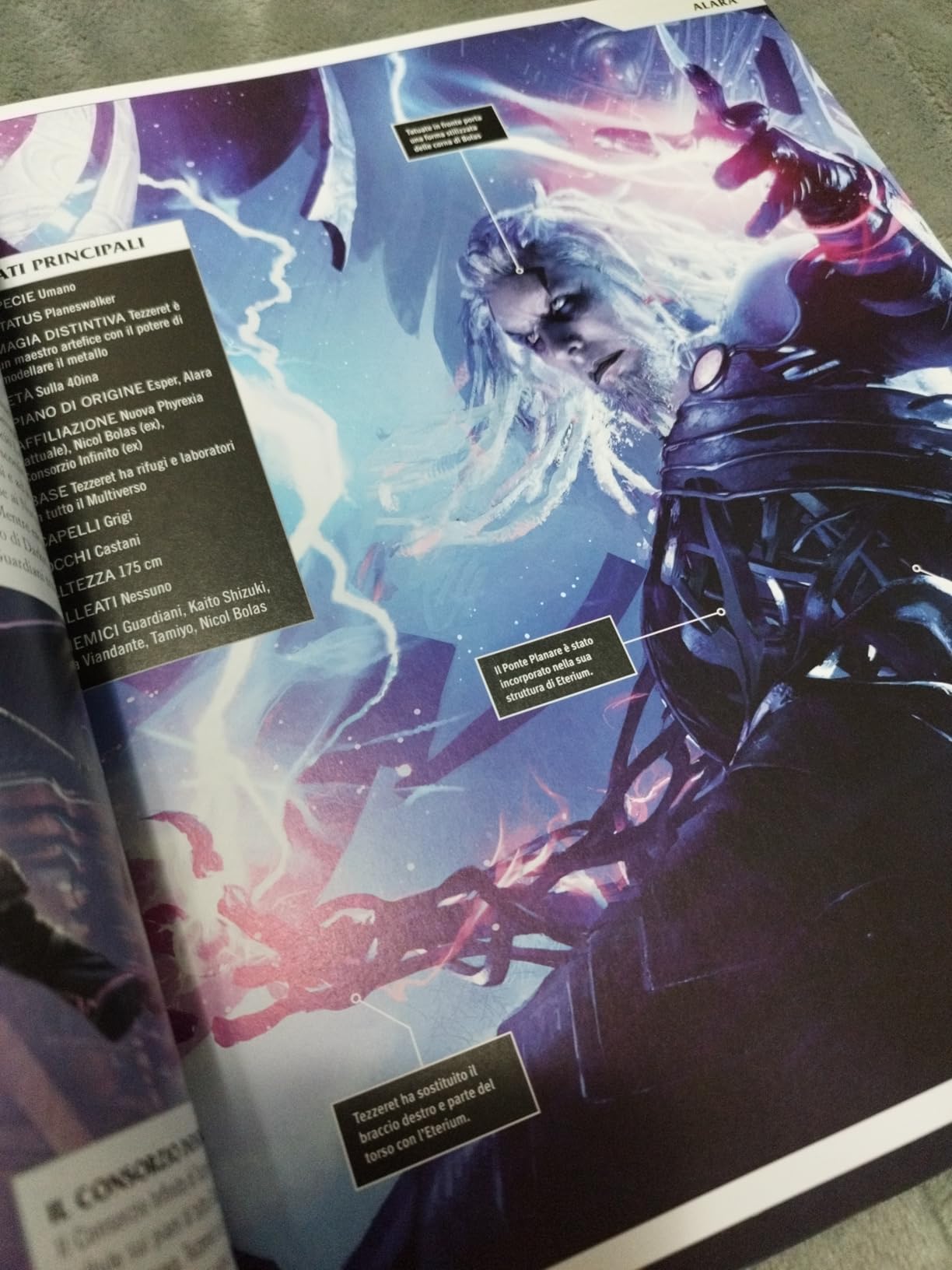 Raven Magic The Gathering Guida Ufficiale Illustrata libro italiano