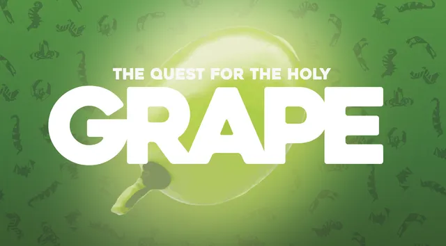 ION Games Grape gioco da tavolo strategico edizione retail