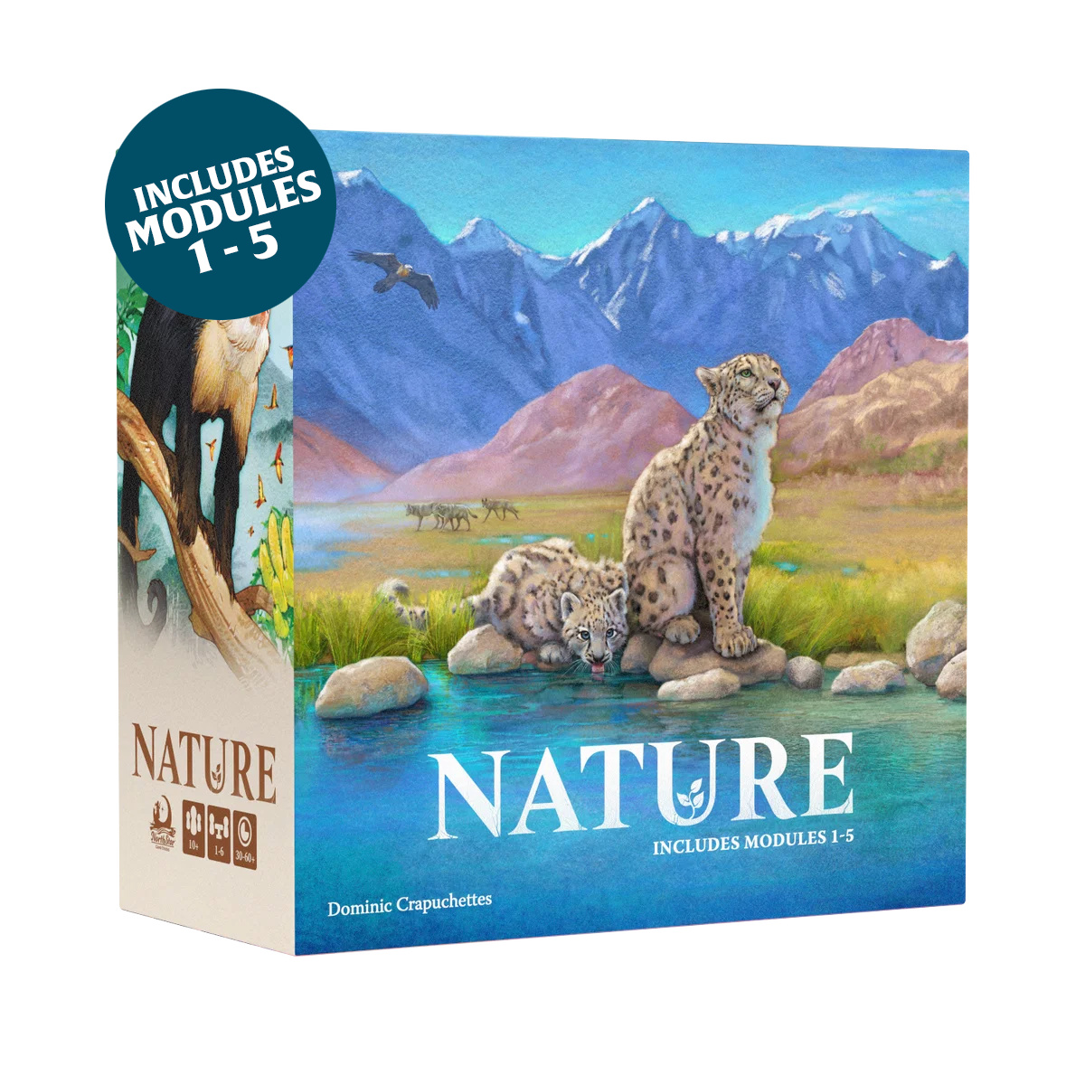 North Star Games Nature Big Box gioco strategico 1-6 giocatori