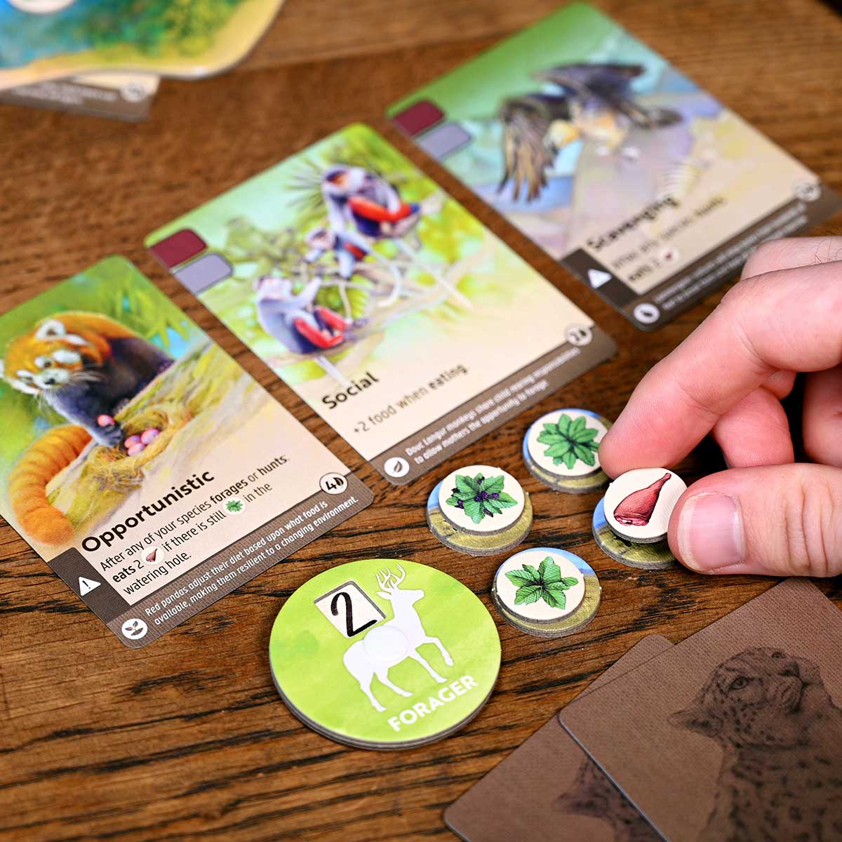 North Star Games Nature gioco da tavolo strategico 1-4 giocatori