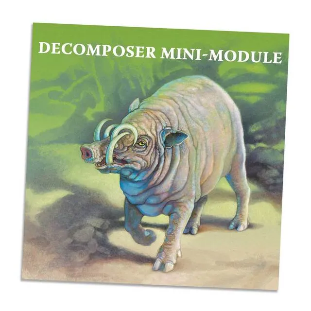 North Star Games Nature Decomposer espansione gioco funghi