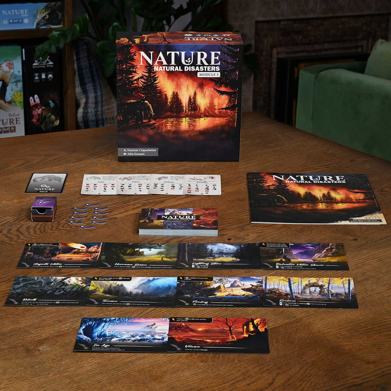 North Star Games Nature Natural Disasters Modulo 3 espansione