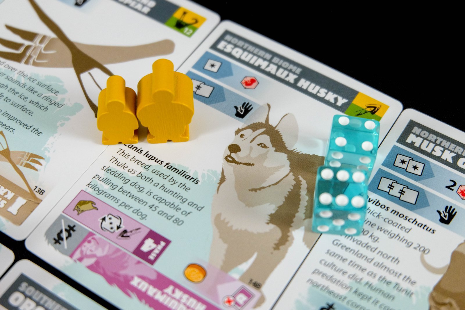 ION Games Greenland 3rd edition gioco da tavolo storico