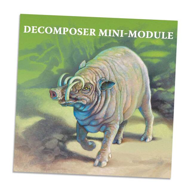 North Star Games Nature Decomposer espansione gioco funghi