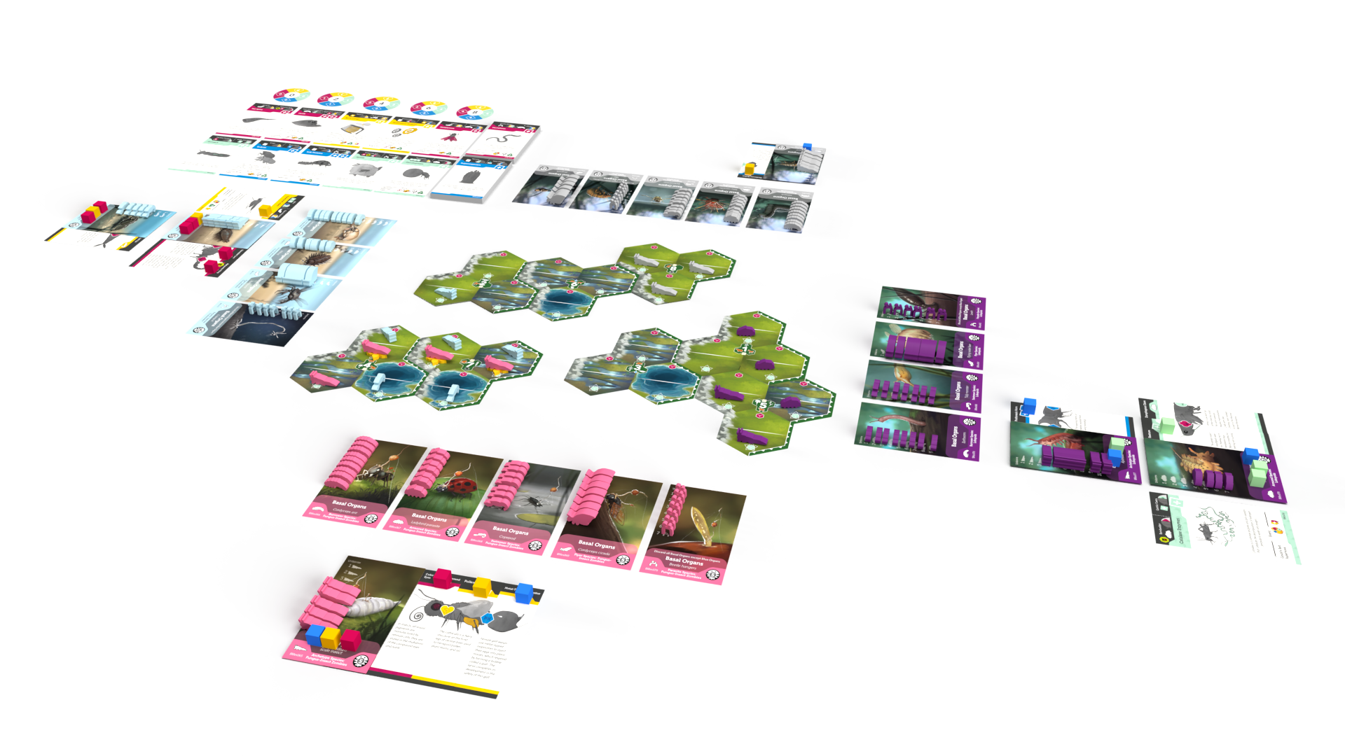 ION Games Bios Mesofauna gioco da tavolo retail senza dadi
