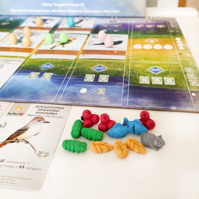 Wingspan Risorse Realistiche set 103 miniature accessori