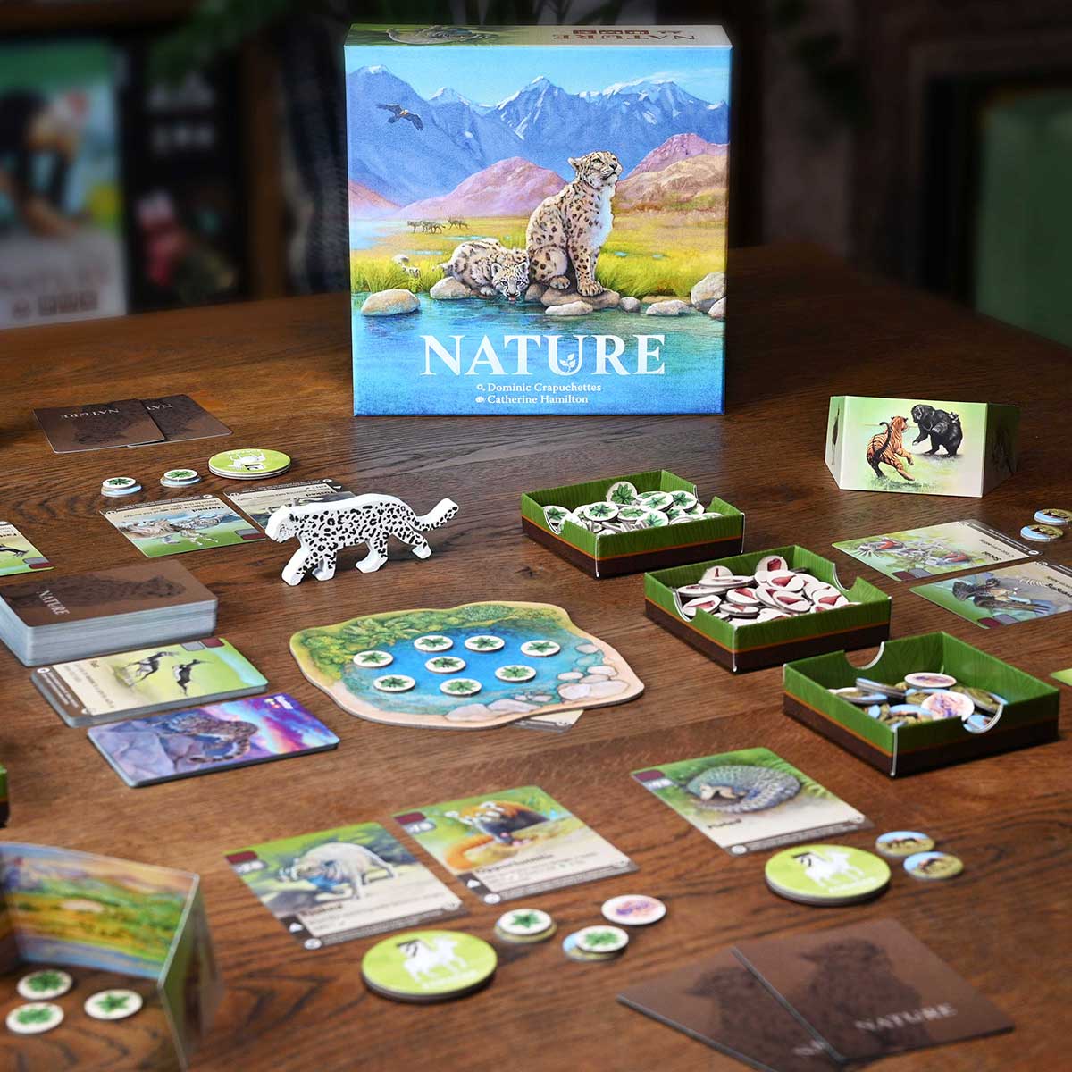 North Star Games Nature gioco da tavolo strategico 1-4 giocatori