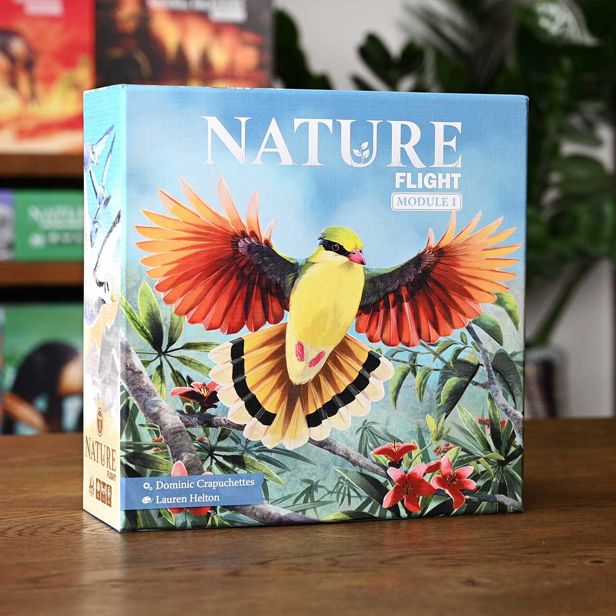 North Star Games Nature Flight Modulo 1 espansione gioco tavolo