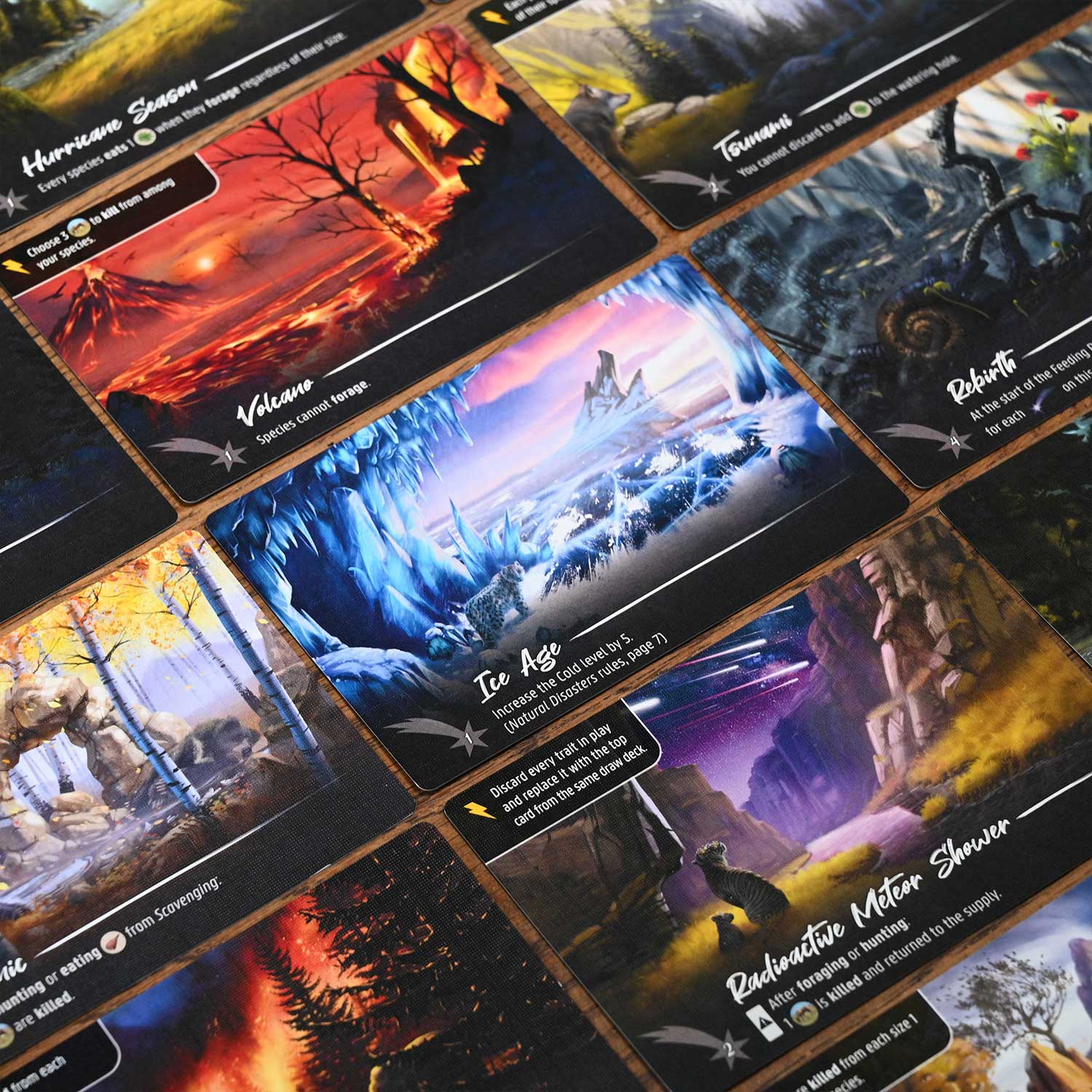 North Star Games Nature Natural Disasters Modulo 3 espansione