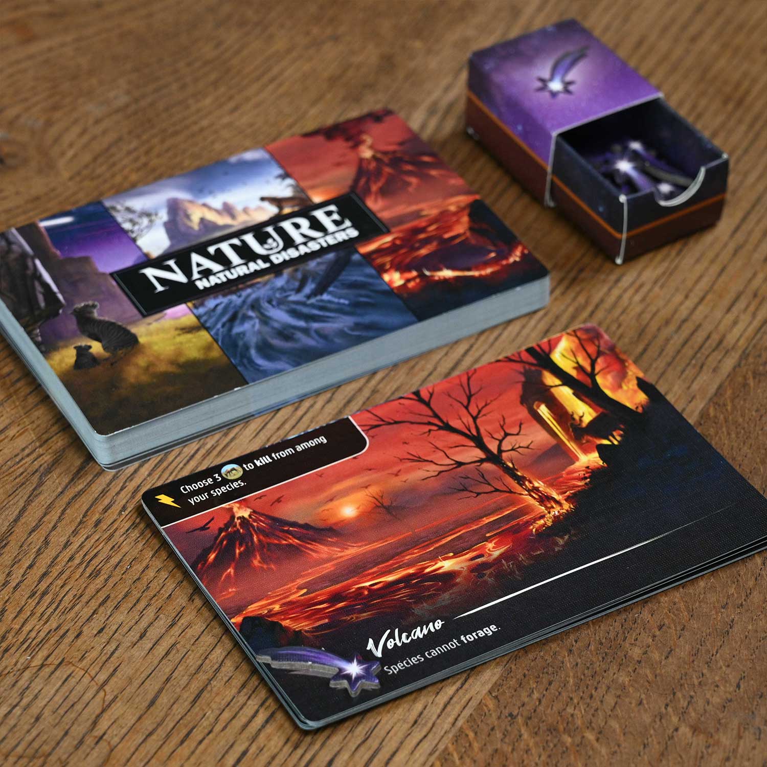 North Star Games Nature Natural Disasters Modulo 3 espansione