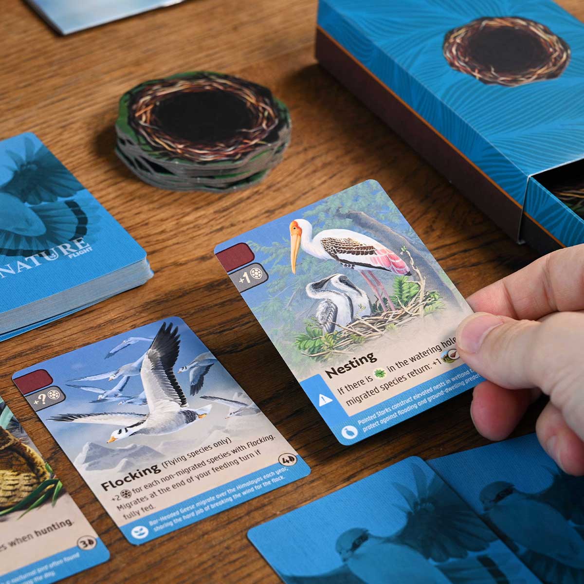 North Star Games Nature Flight Modulo 1 espansione gioco tavolo