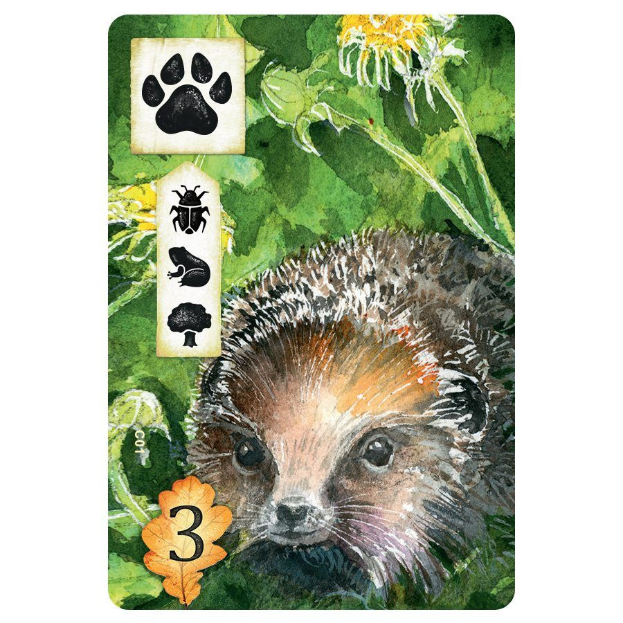 Meadow Radura gioco da tavolo famiglia naturalistico