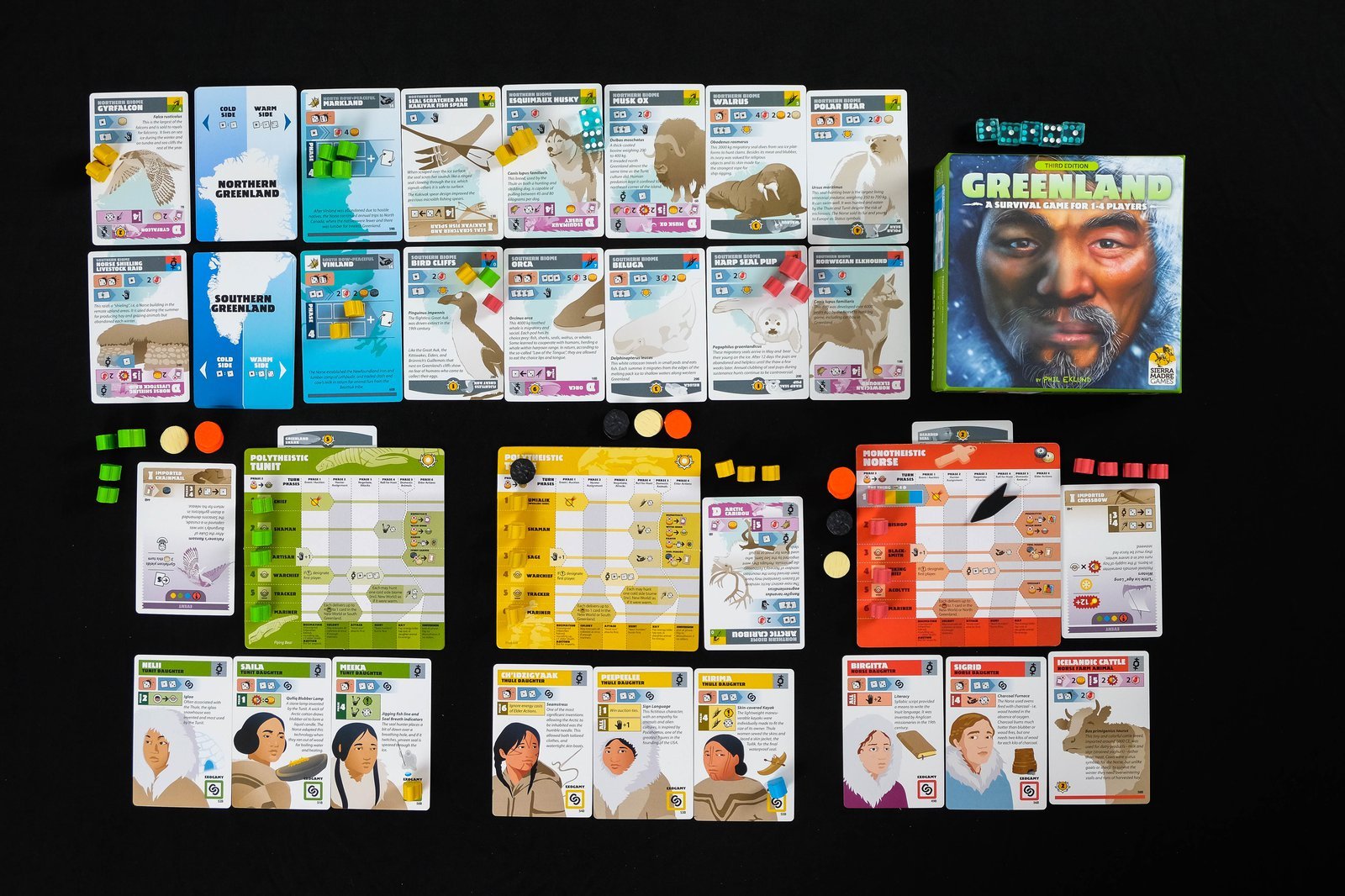 ION Games Greenland 3rd edition gioco da tavolo storico