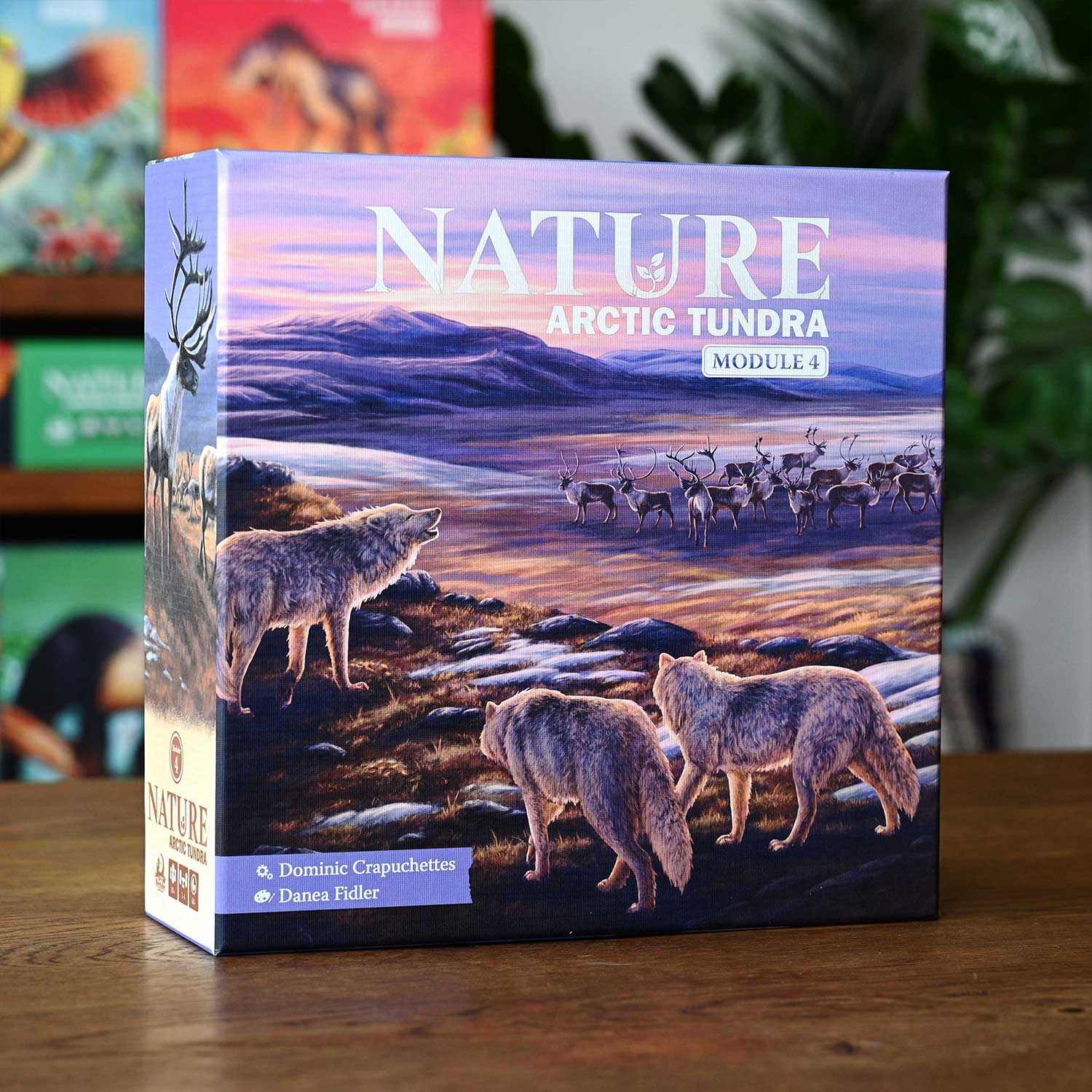 North Star Games Nature Arctic Tundra Modulo 4 espansione