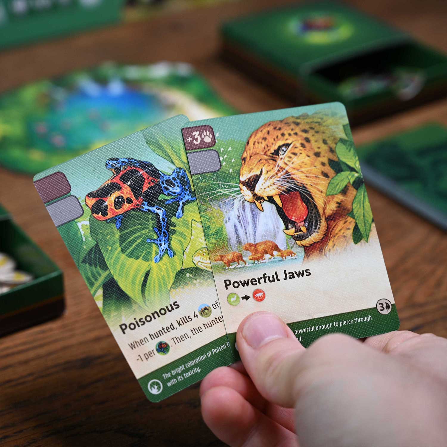 North Star Games Nature Amazon Rainforest Modulo 5 espansione