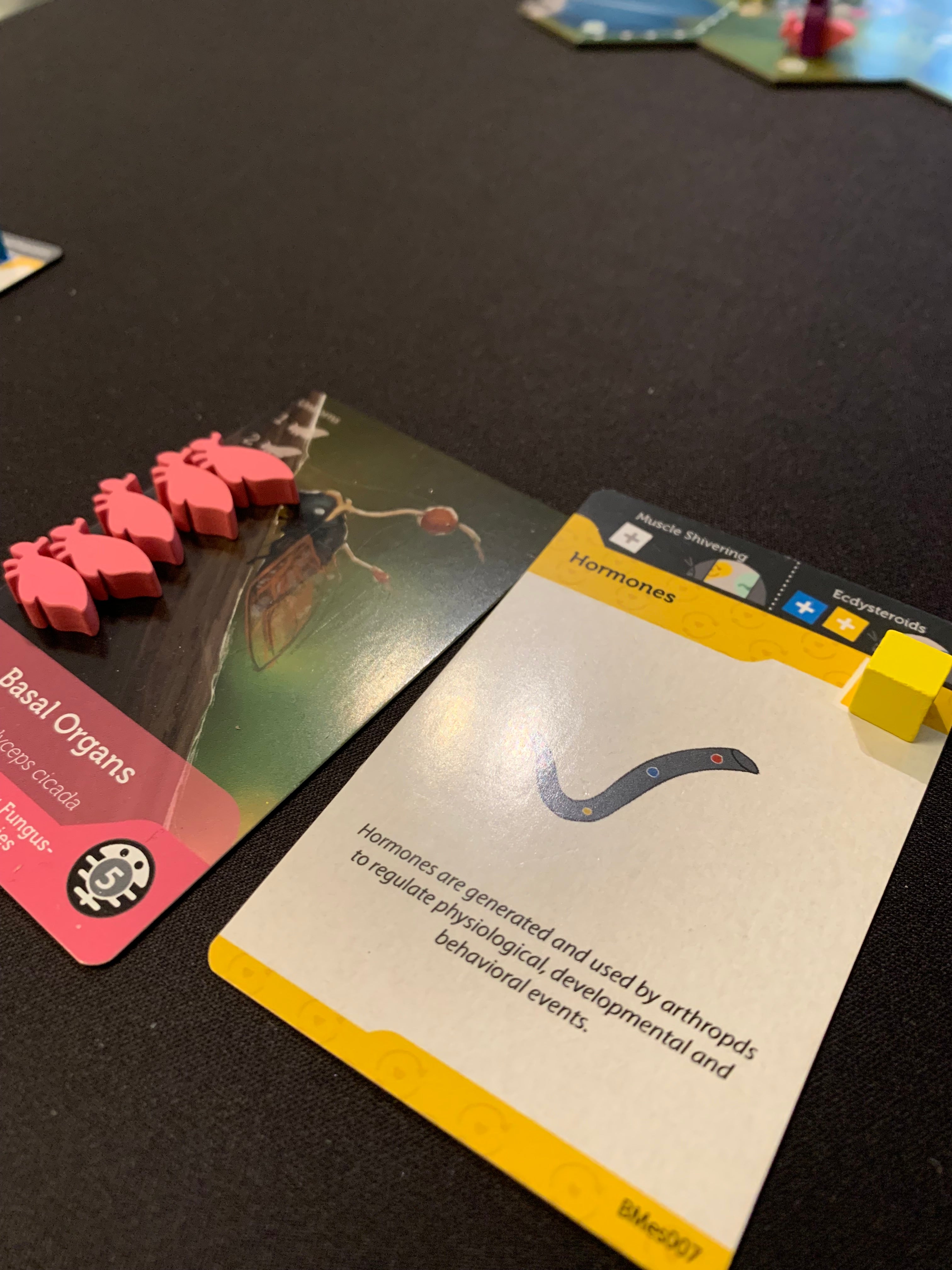 ION Games Bios Mesofauna gioco da tavolo retail senza dadi