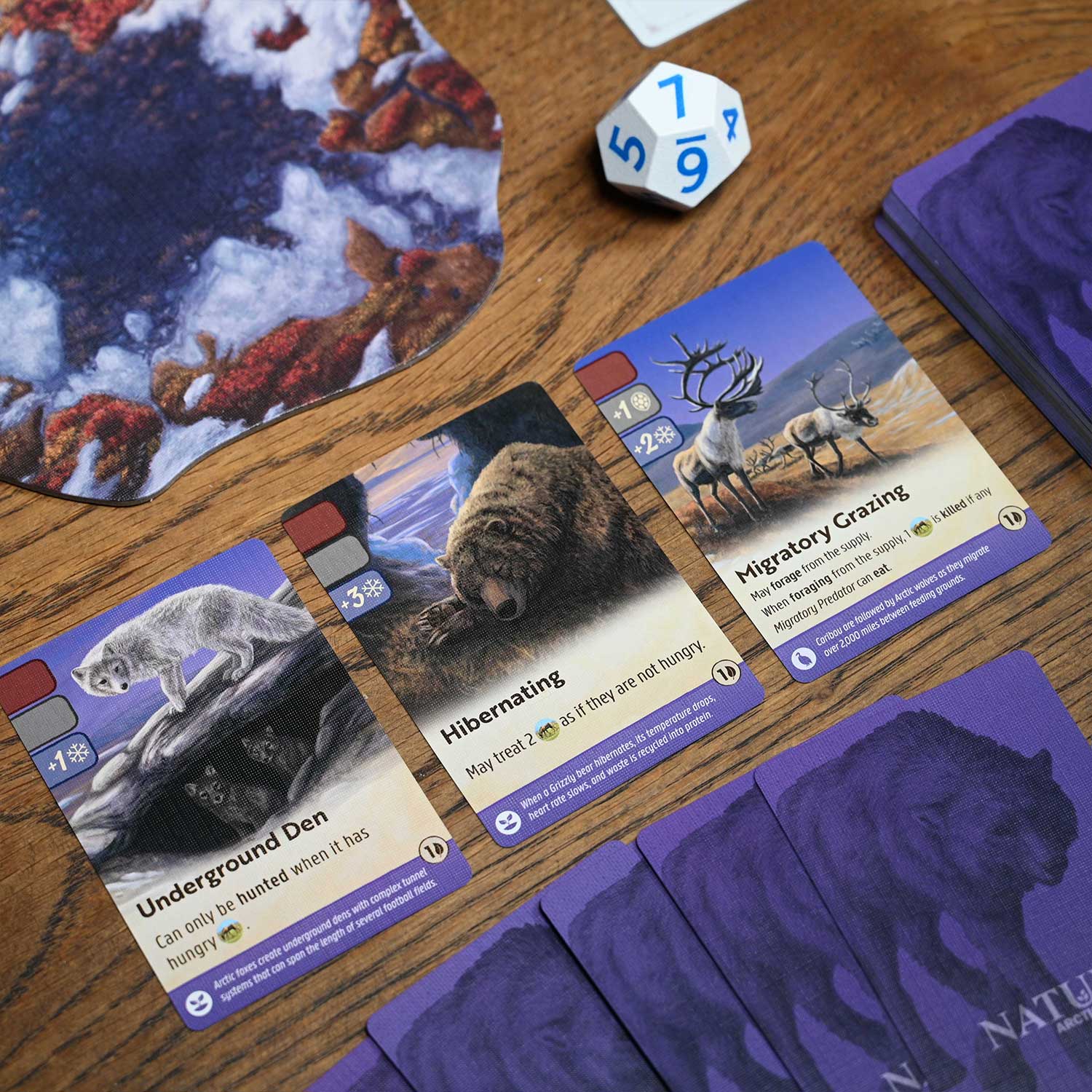 North Star Games Nature Arctic Tundra Modulo 4 espansione