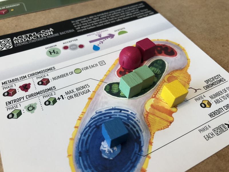 ION Games Bios Genesis 2nd Edition gioco da tavolo scientifico