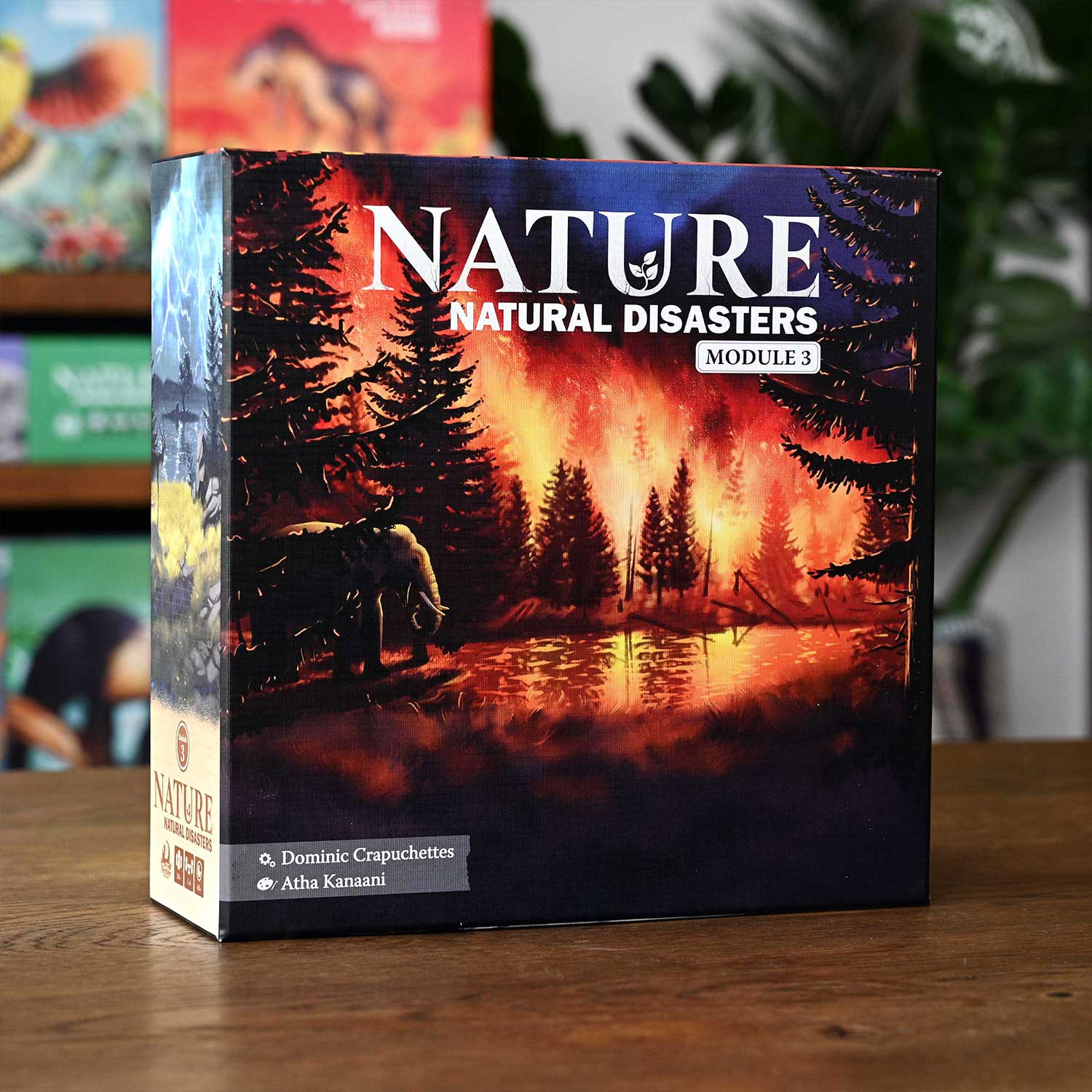 North Star Games Nature Natural Disasters Modulo 3 espansione