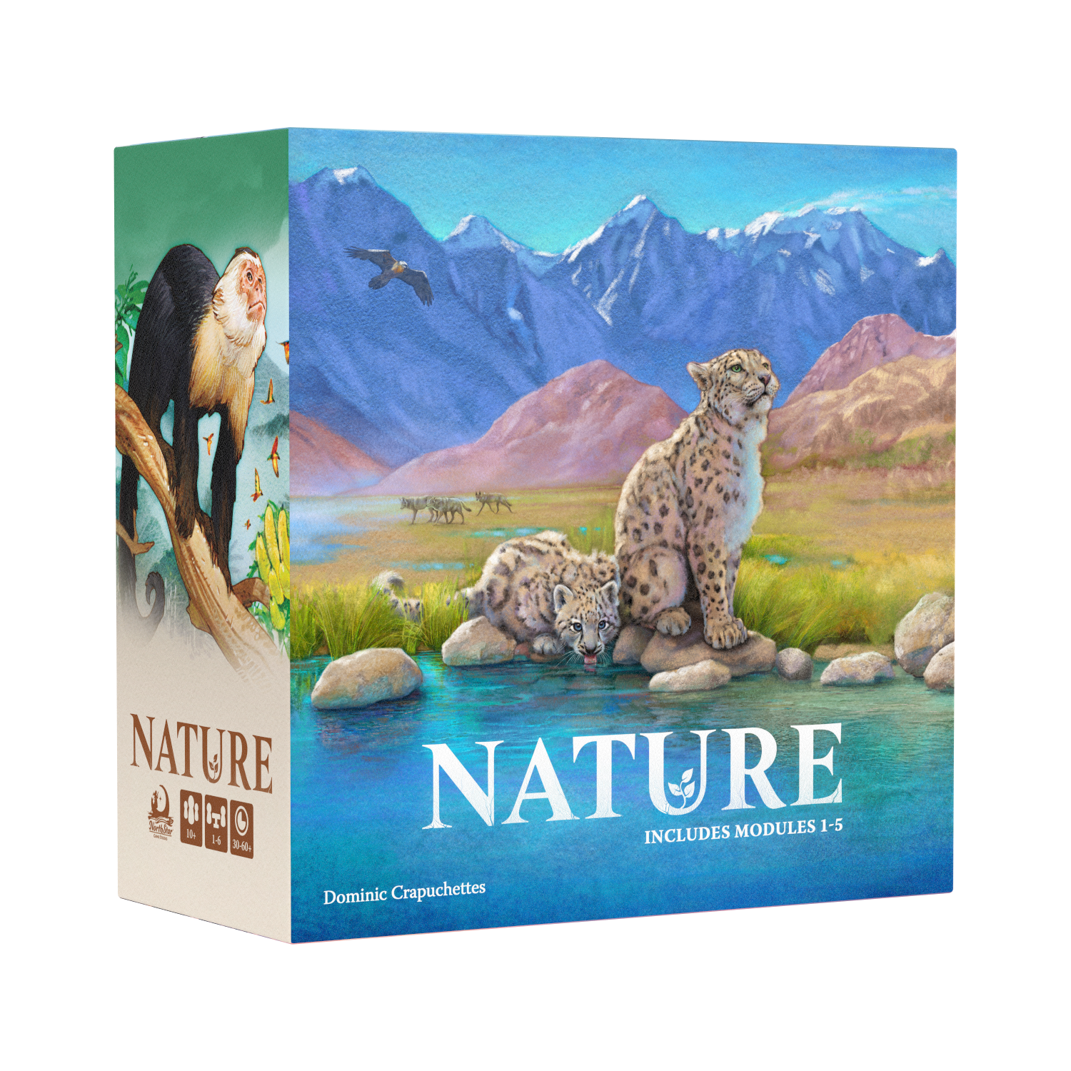 North Star Games Nature Big Box gioco strategico 1-6 giocatori
