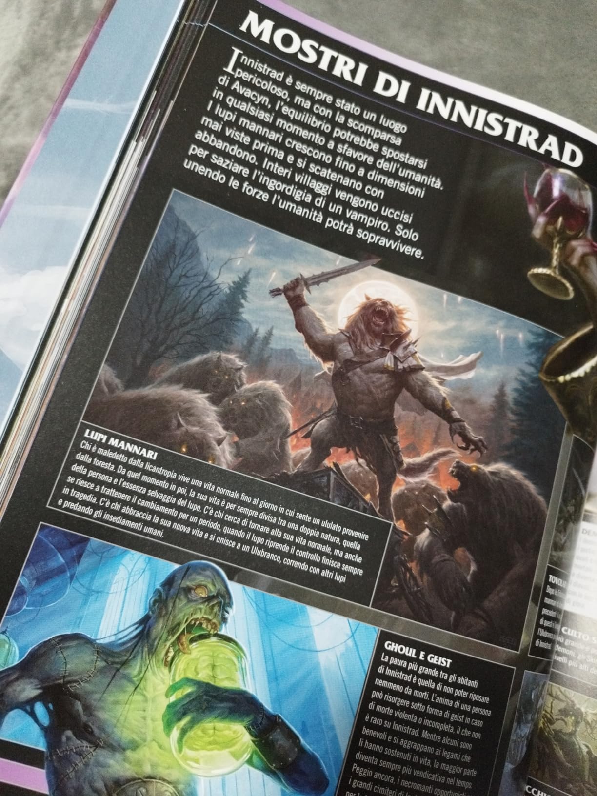 Raven Magic The Gathering Guida Ufficiale Illustrata libro italiano