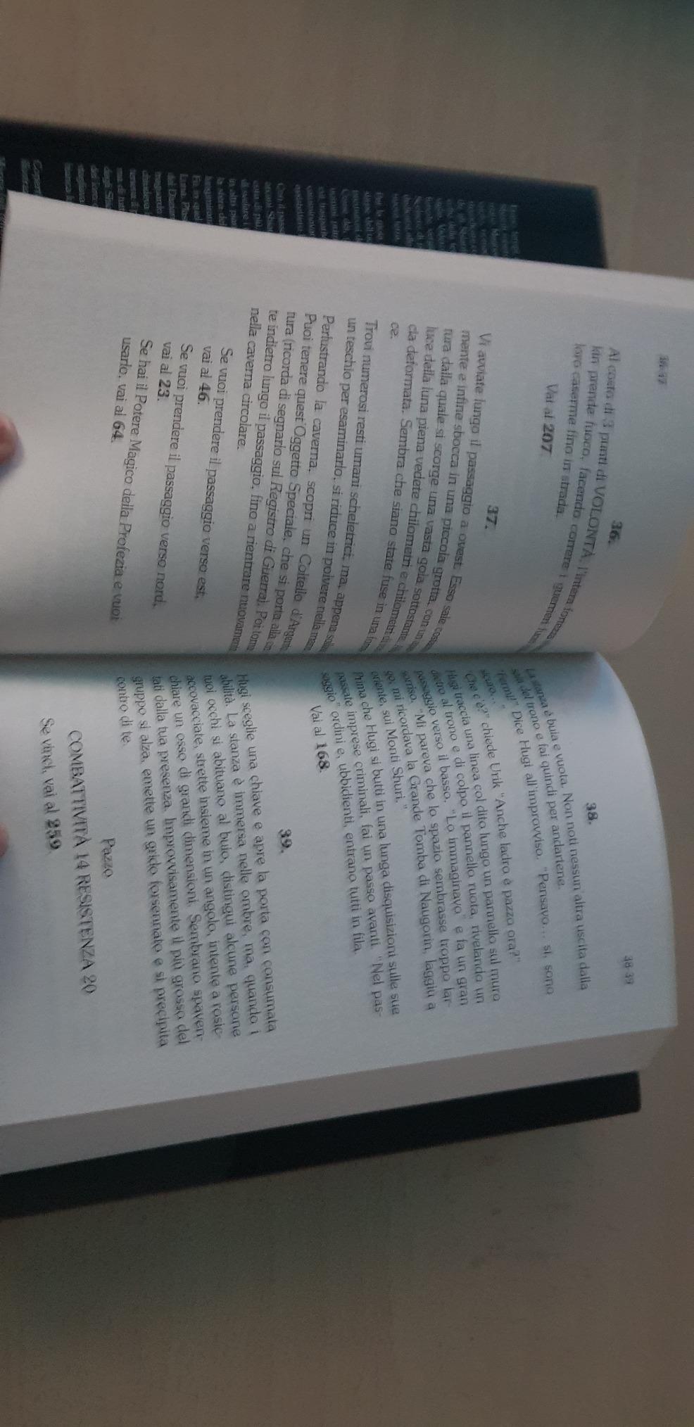 Raven Greystar La città proibita Vol. 2 librogame