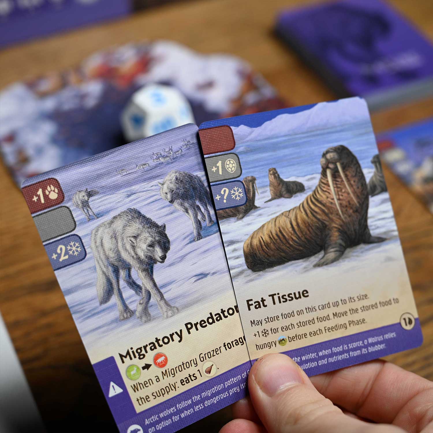 North Star Games Nature Arctic Tundra Modulo 4 espansione
