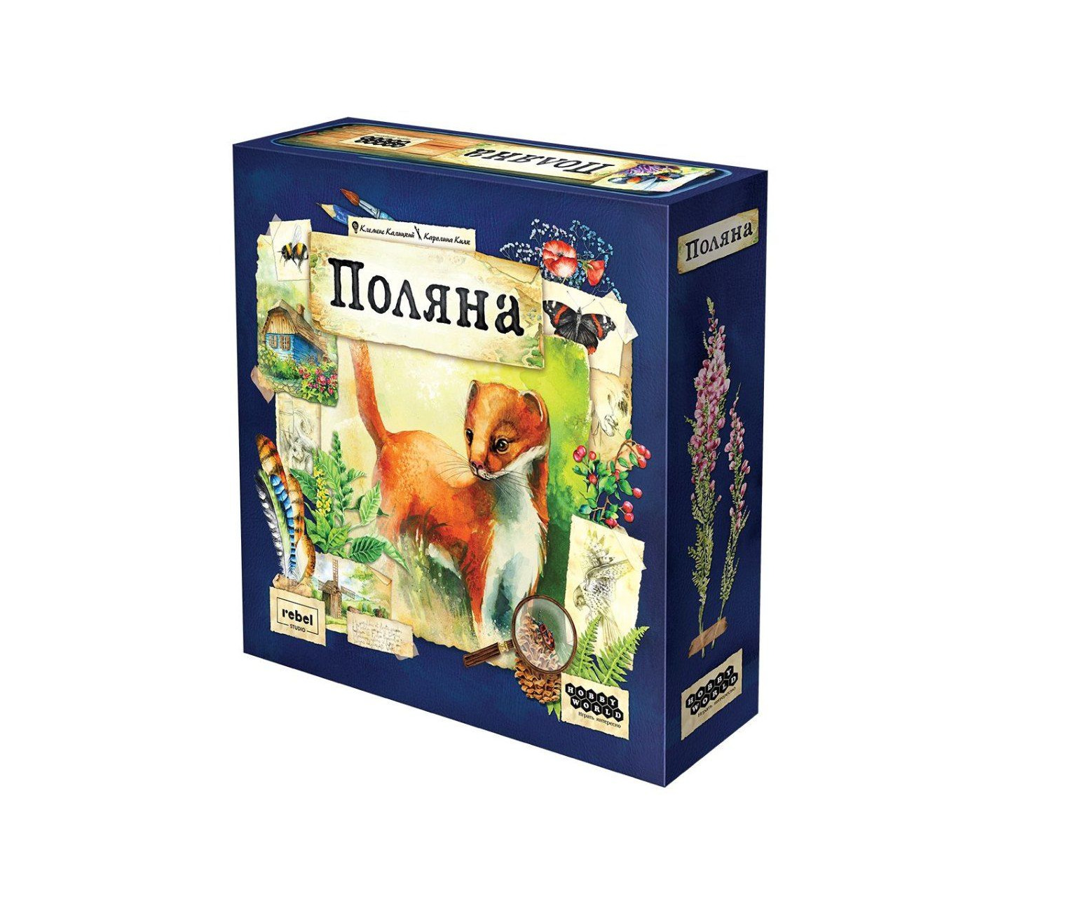 Meadow Radura gioco da tavolo famiglia naturalistico