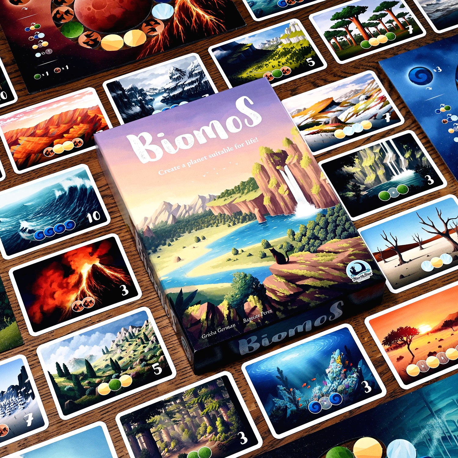 North Star Games Biomos gioco da tavolo puzzle biodiversità