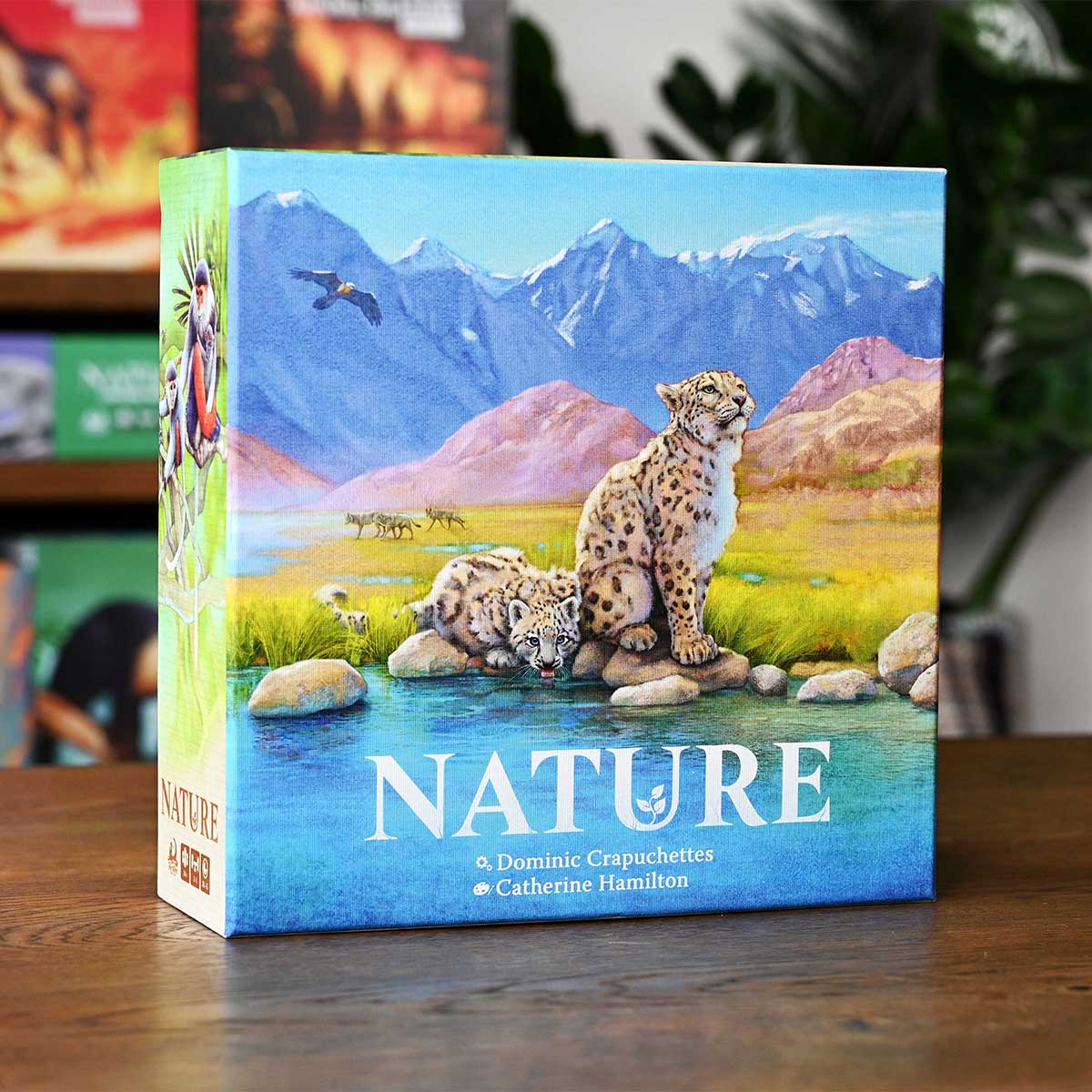 North Star Games Nature gioco da tavolo strategico 1-4 giocatori