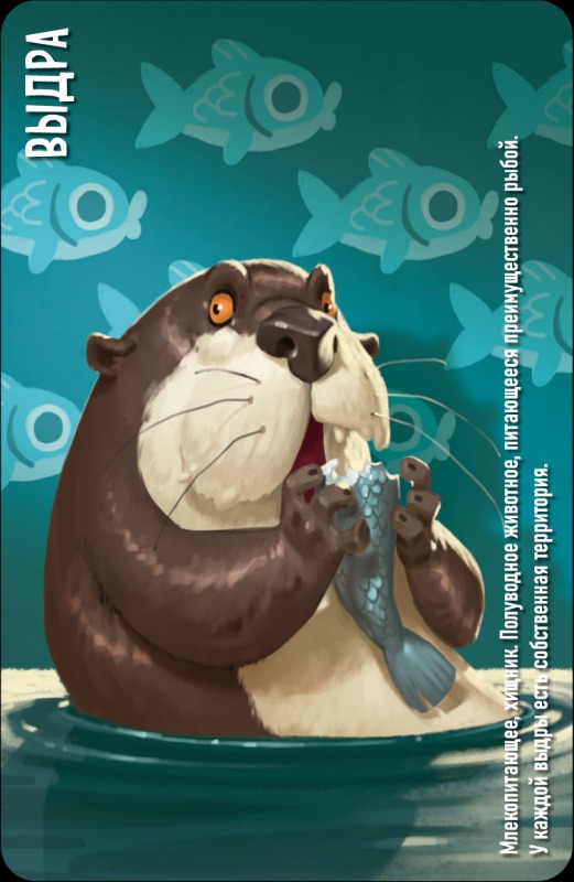 Niza Gams Similo Animali gioco carte cooperativo 34 carte